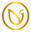 Limitless Logo